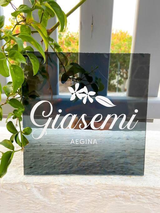 הוילה Giasemi Aegina, Modern House מראה חיצוני תמונה
